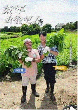 乘风破浪 - 趣夜下载